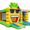 Hawaii Multi Box – Bild 2